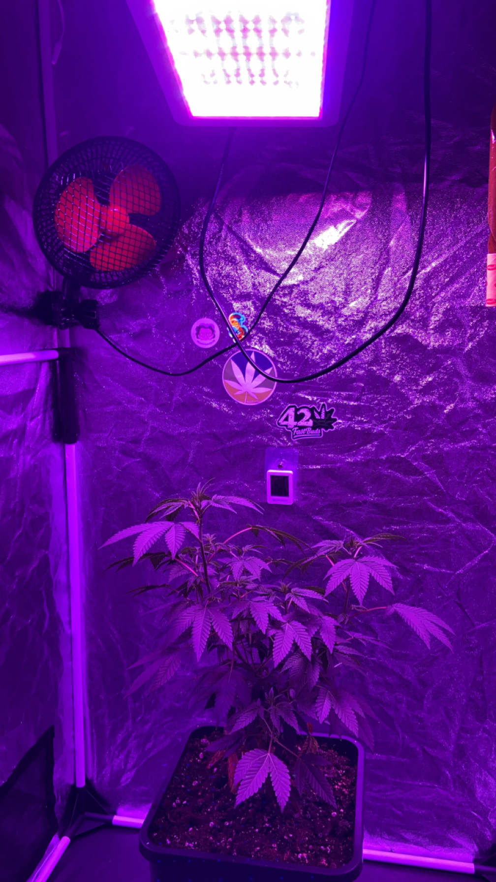 Growzubehör