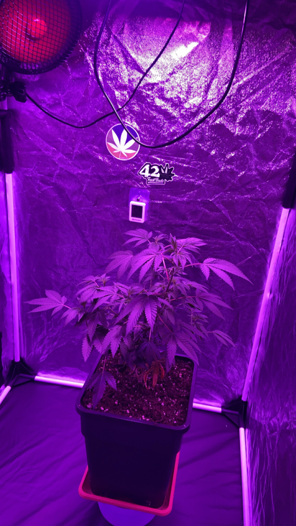 Growbox