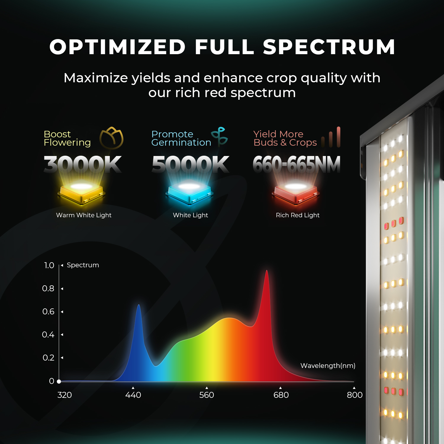 Growbox