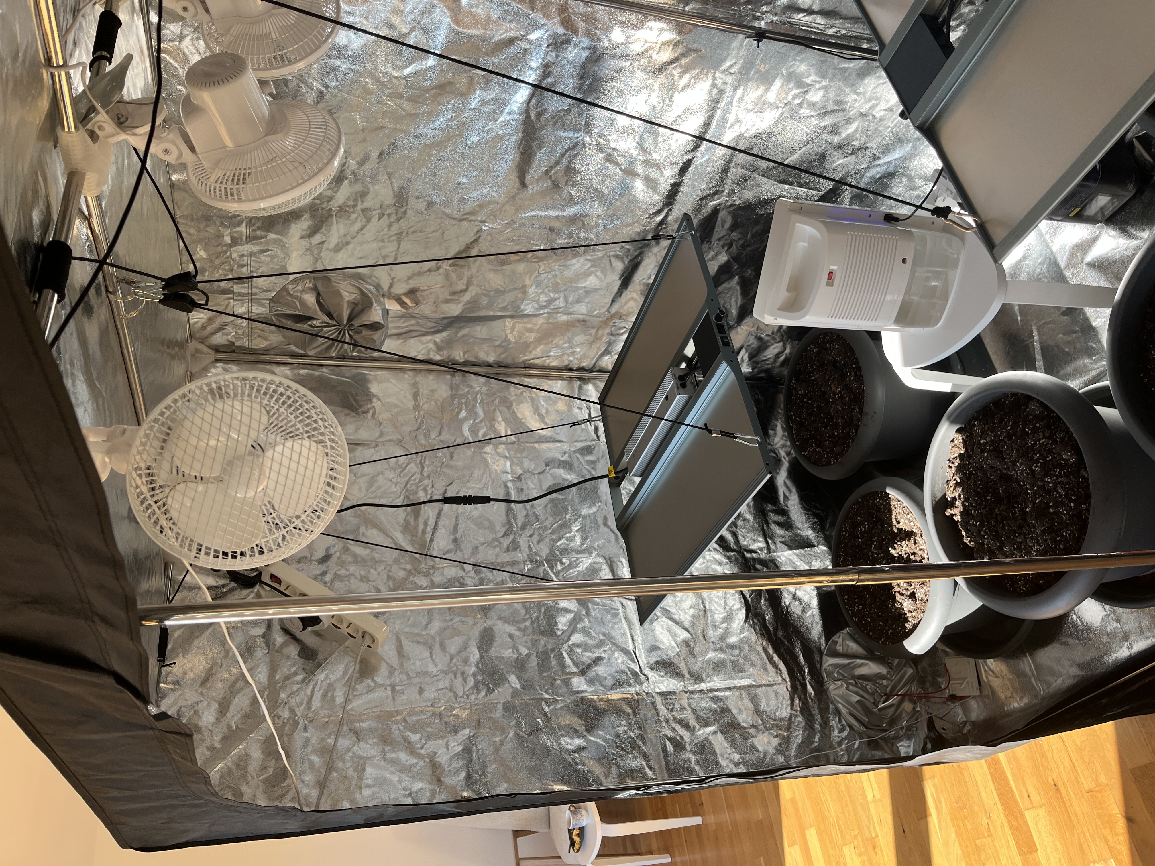 LED Grow