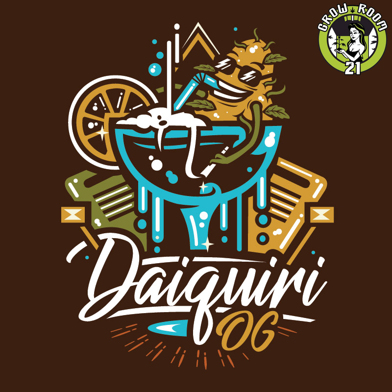Bild von Daiquiri OG