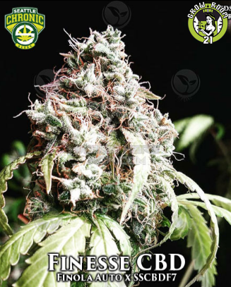 Bild von Finesse CBD