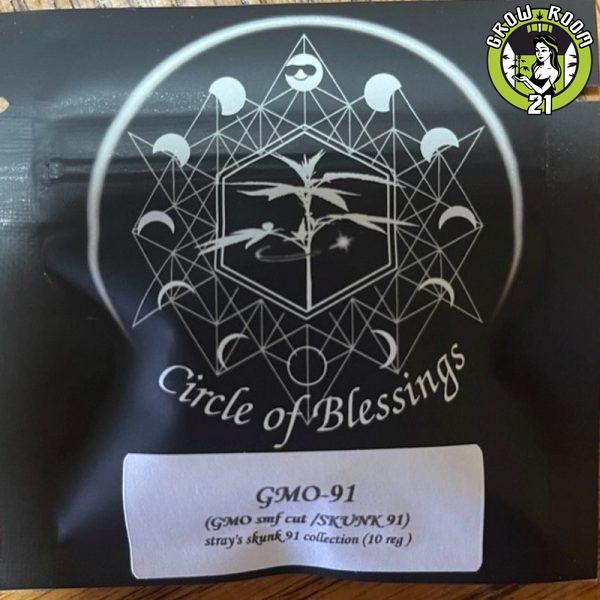 Bild von GMO 91