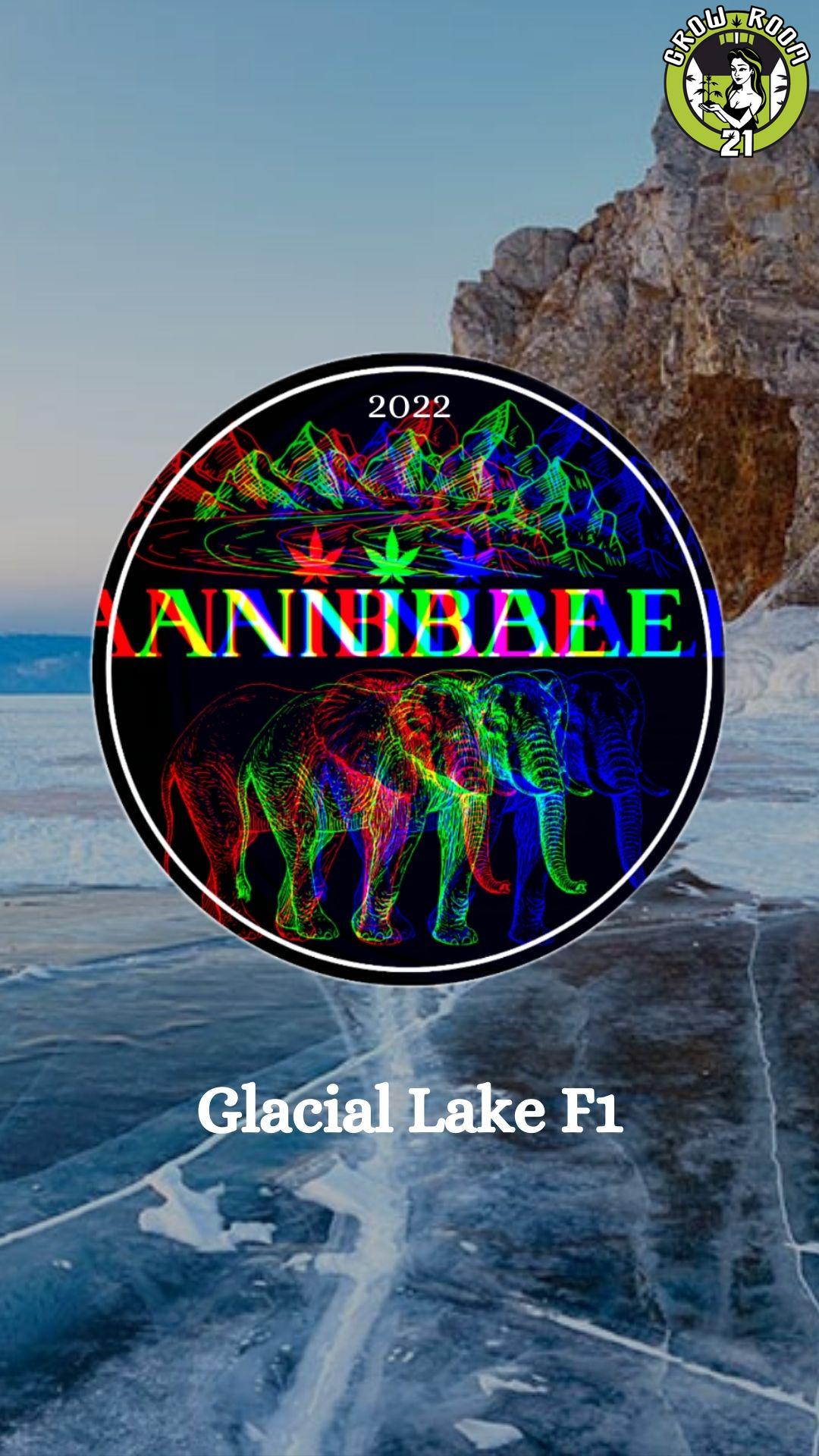Bild von Glacial Lake