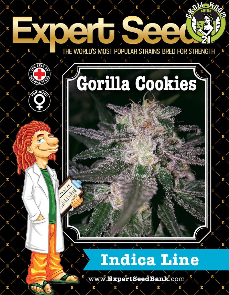 Bild von Gorilla Cookies