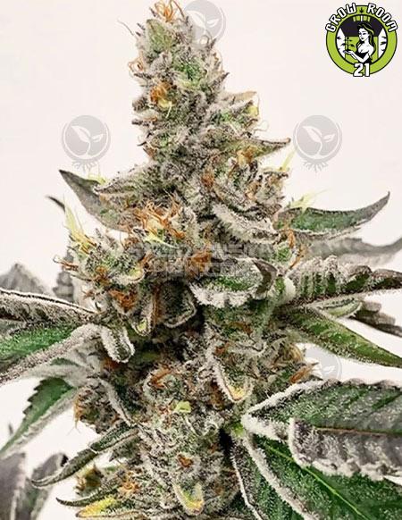 Bild von Mikes Strawberry Lemonade