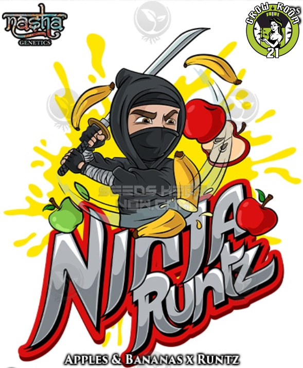 Bild von Ninja Runtz