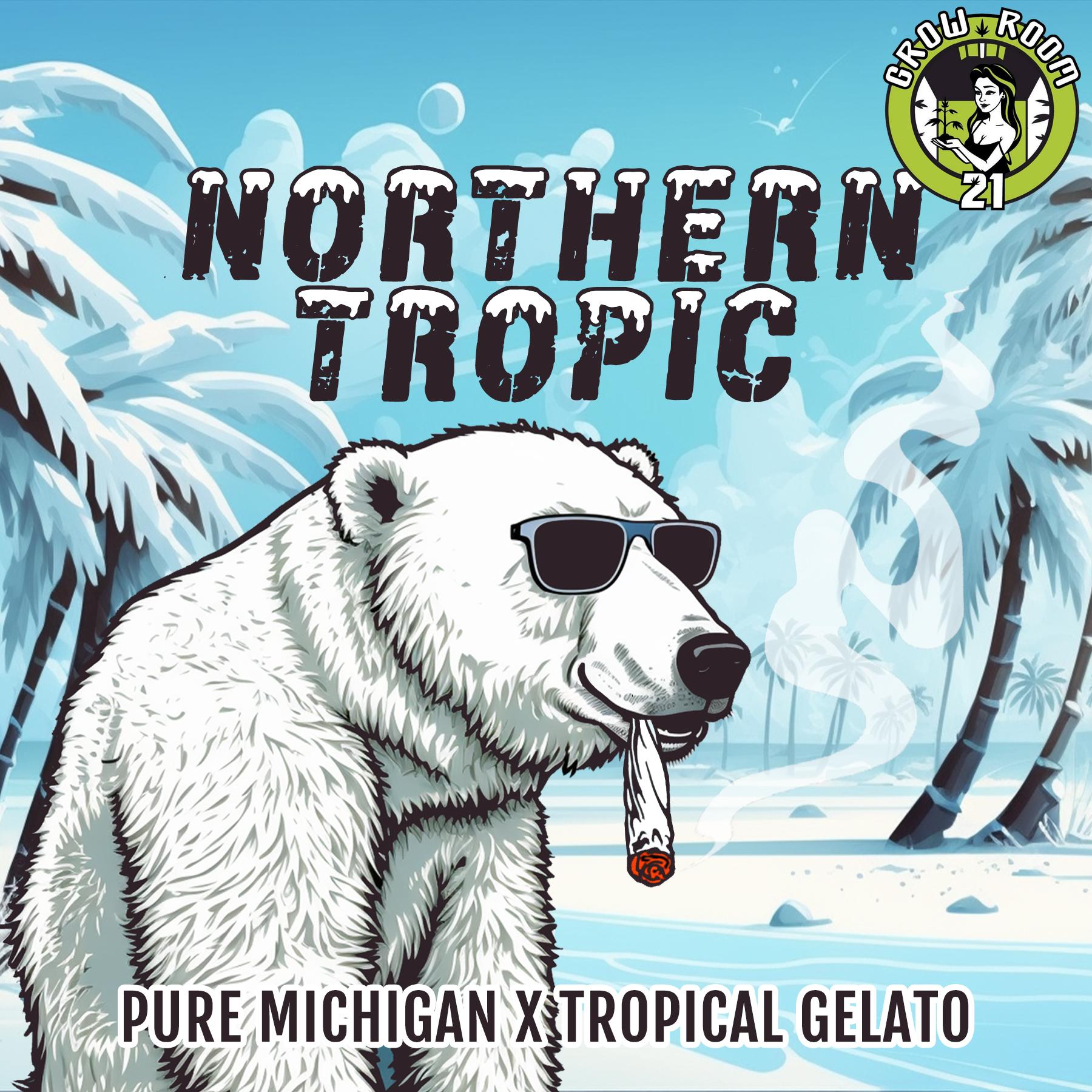Bild von Northern Tropic