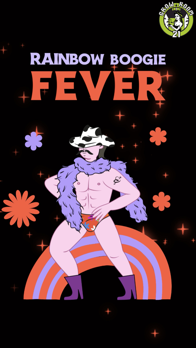 Bild von Rainbow Boogie Fever