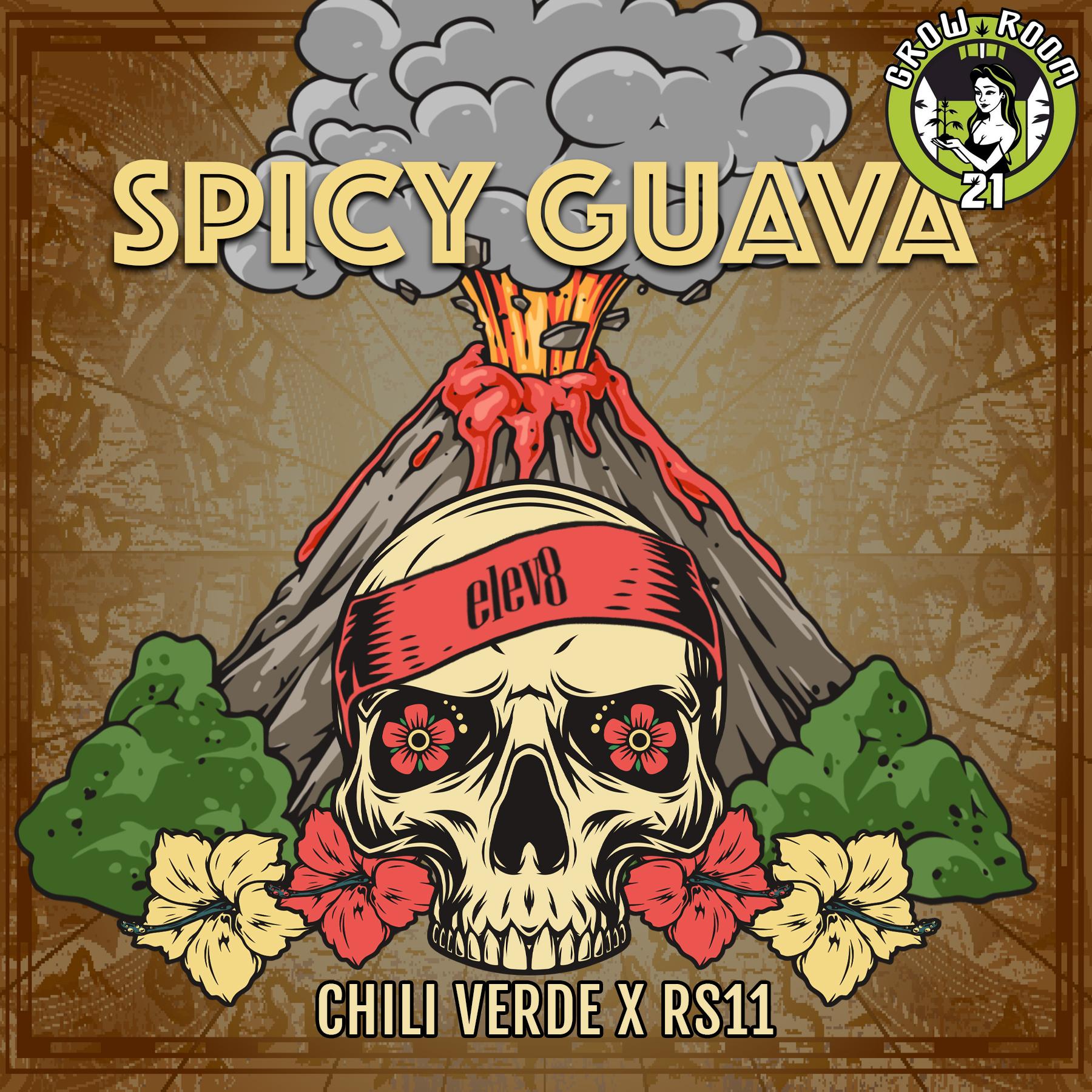 Bild von Spicy Guava