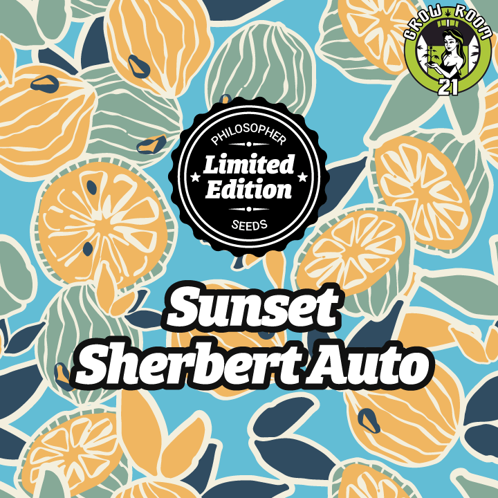 Bild von Sunset Sherbert Auto
