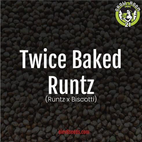 Bild von Twice Baked Runtz