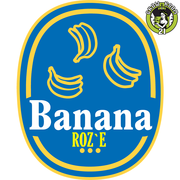 Bild von Banana Roze