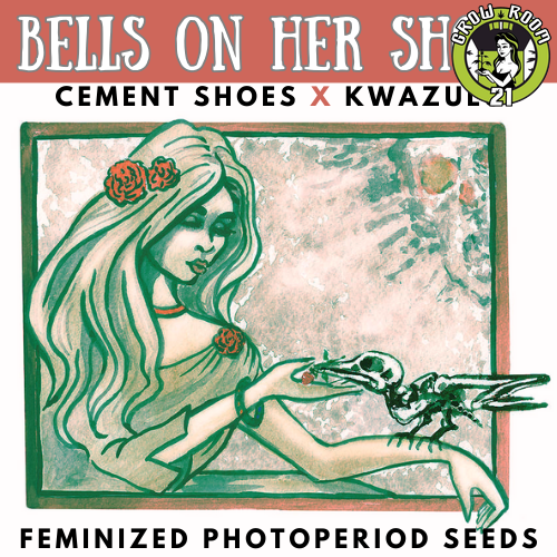 Bild von Bells On Her Shoes