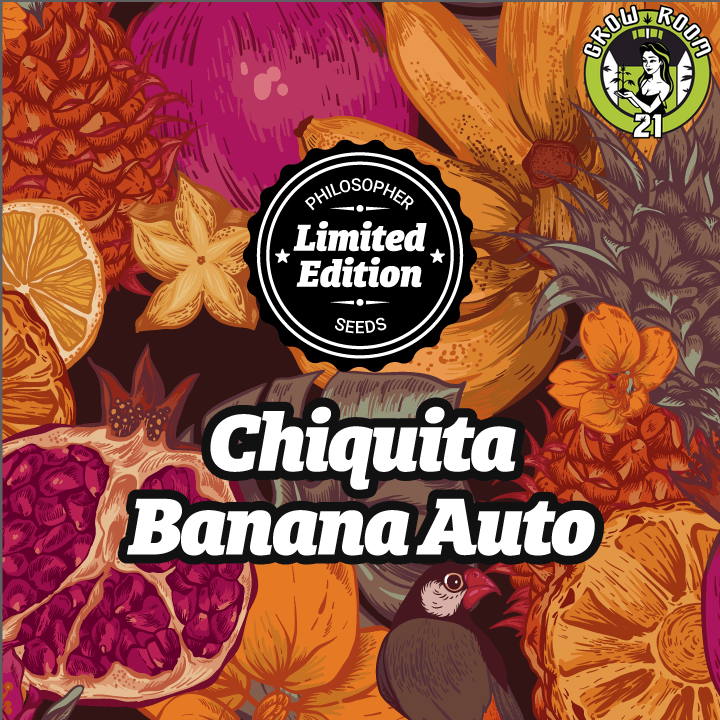 Bild von Chiquita Banana Auto