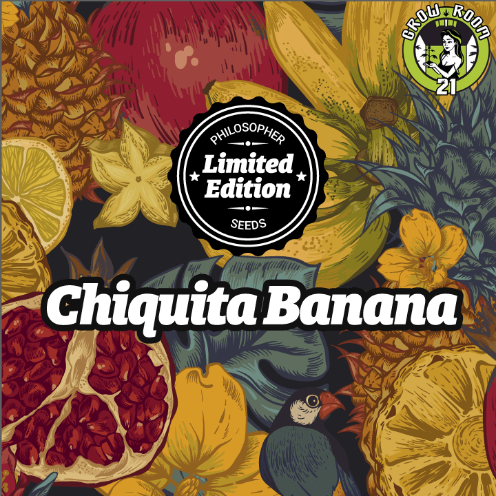 Bild von Chiquita Banana
