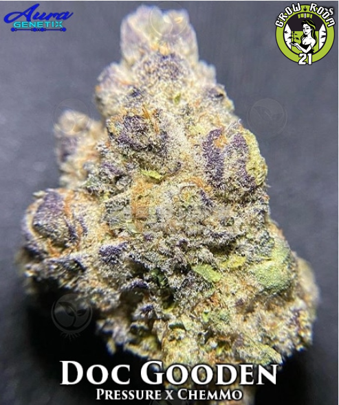 Bild von Doc Gooden
