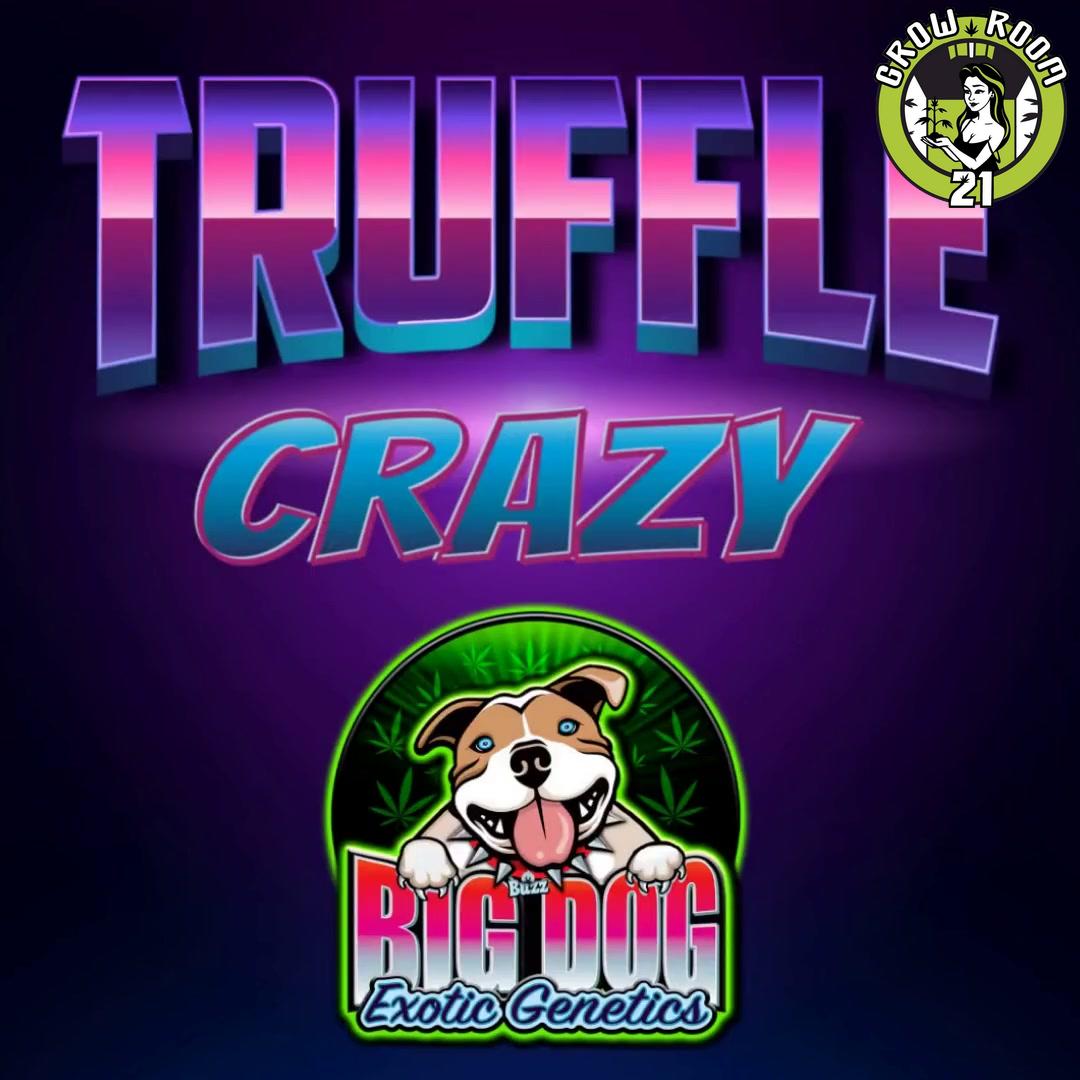 Bild von Greasy Truffles