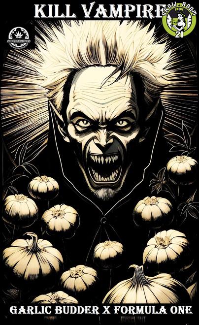 Bild von Kill Vampire