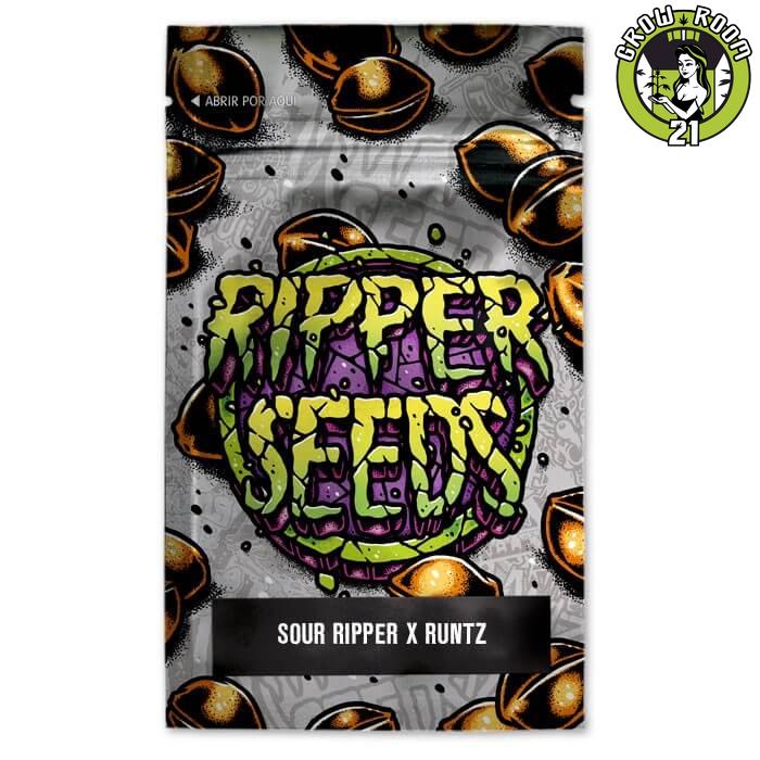 Bild von Sour Ripper x Bubba Kush