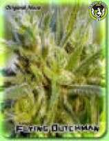 Bild von The original Haze