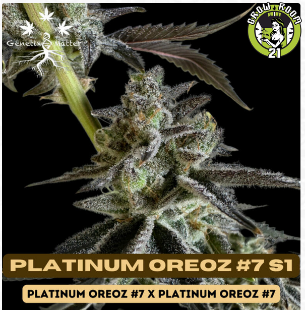 Bild von Platinum Oreoz 7