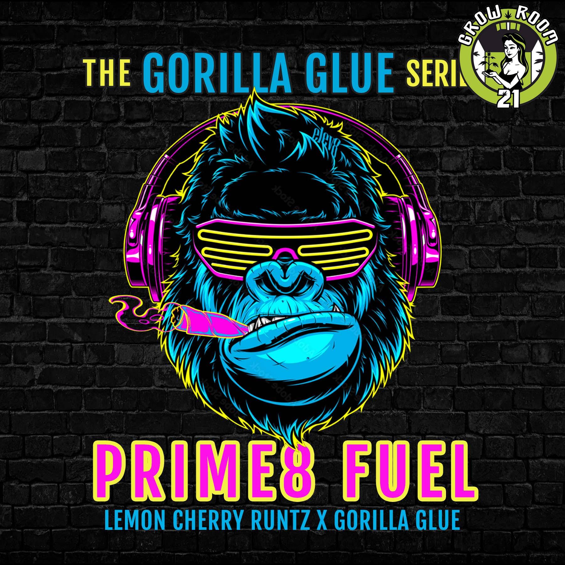 Bild von Prime8 Fuel