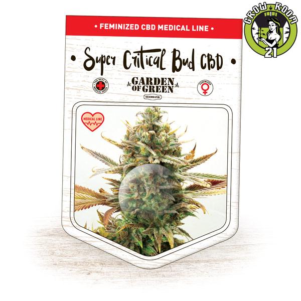 Bild von Super Critical Bud CBD