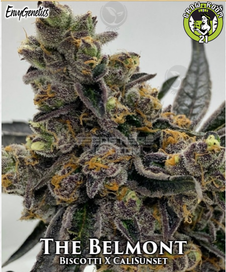 Bild von The Belmont