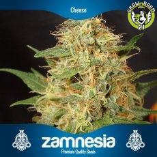 Bild von Cheese