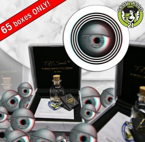 Bild von MK-Ultra Cake