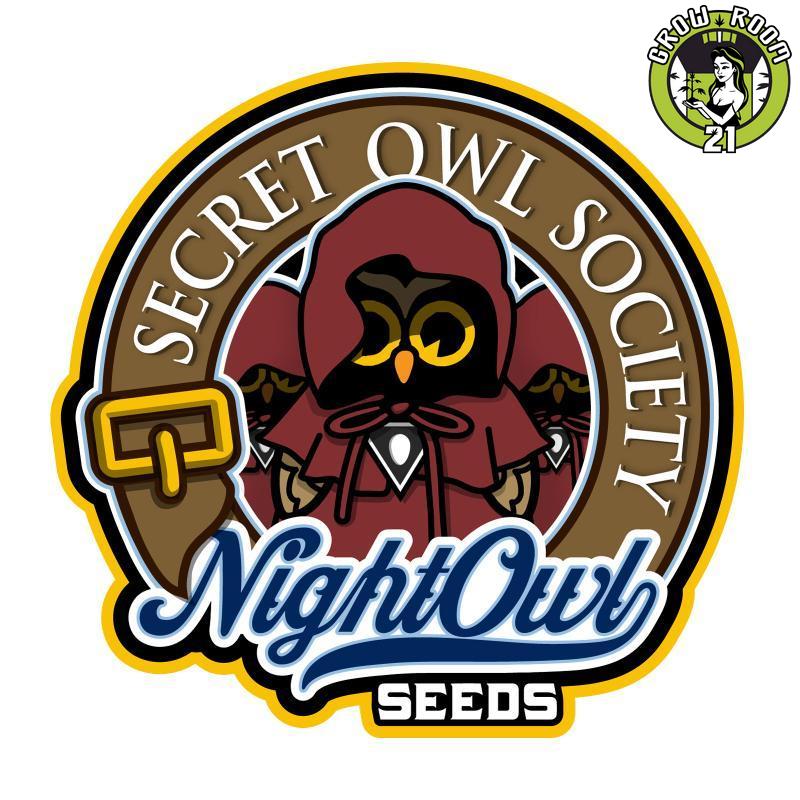 Bild von Royal Stomper