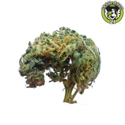 Bild von Big Bud Auto