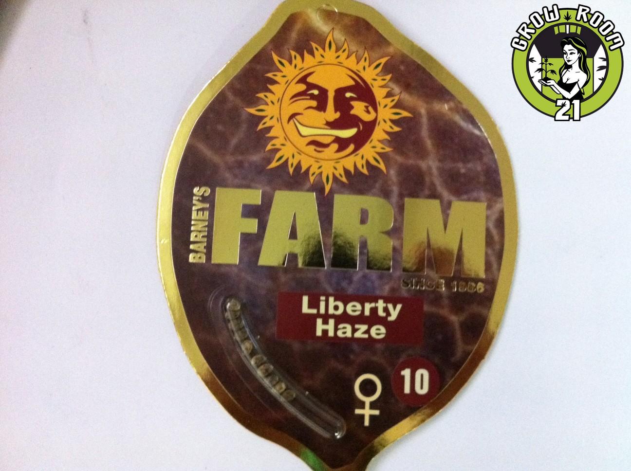 Bild von Liberty Haze