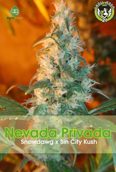 Bild von Nevada Privada