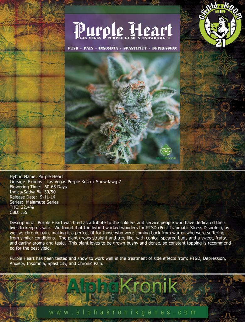 Bild von Purple Heart