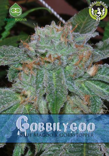 Bild von Gobbilygoo