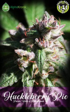 Bild von Huckleberry Pie