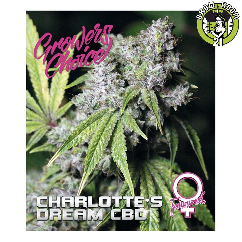 Bild von Charlottes Dream CBD
