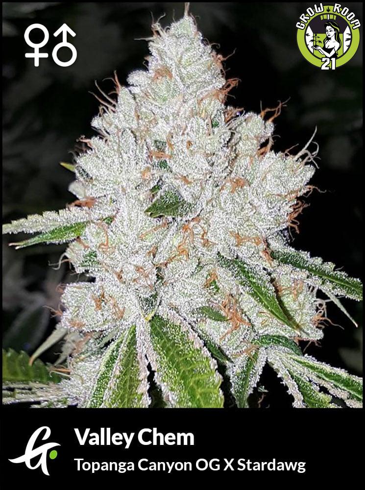 Bild von Valley Chem