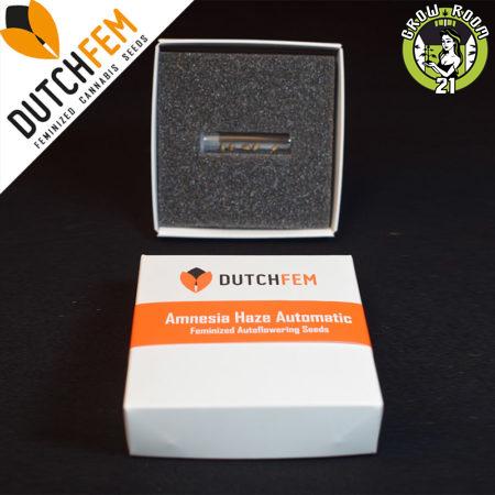 Bild von Amnesia Haze Autoflowering