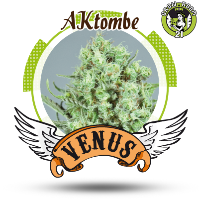 Bild von AKtombe