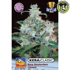 Bild von Amsterdam Cheese