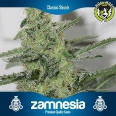 Bild von Classic Skunk