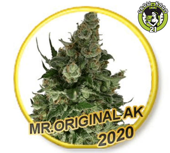 Bild von Mr Original AK