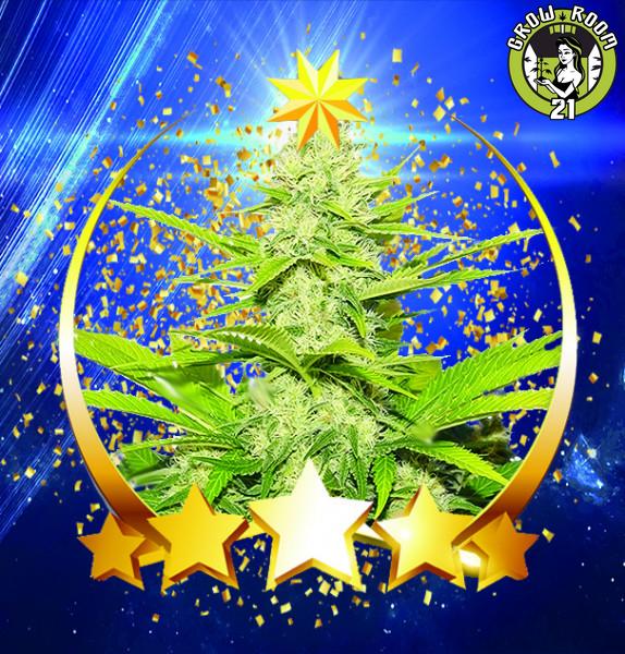 Bild von Sirius Skunk