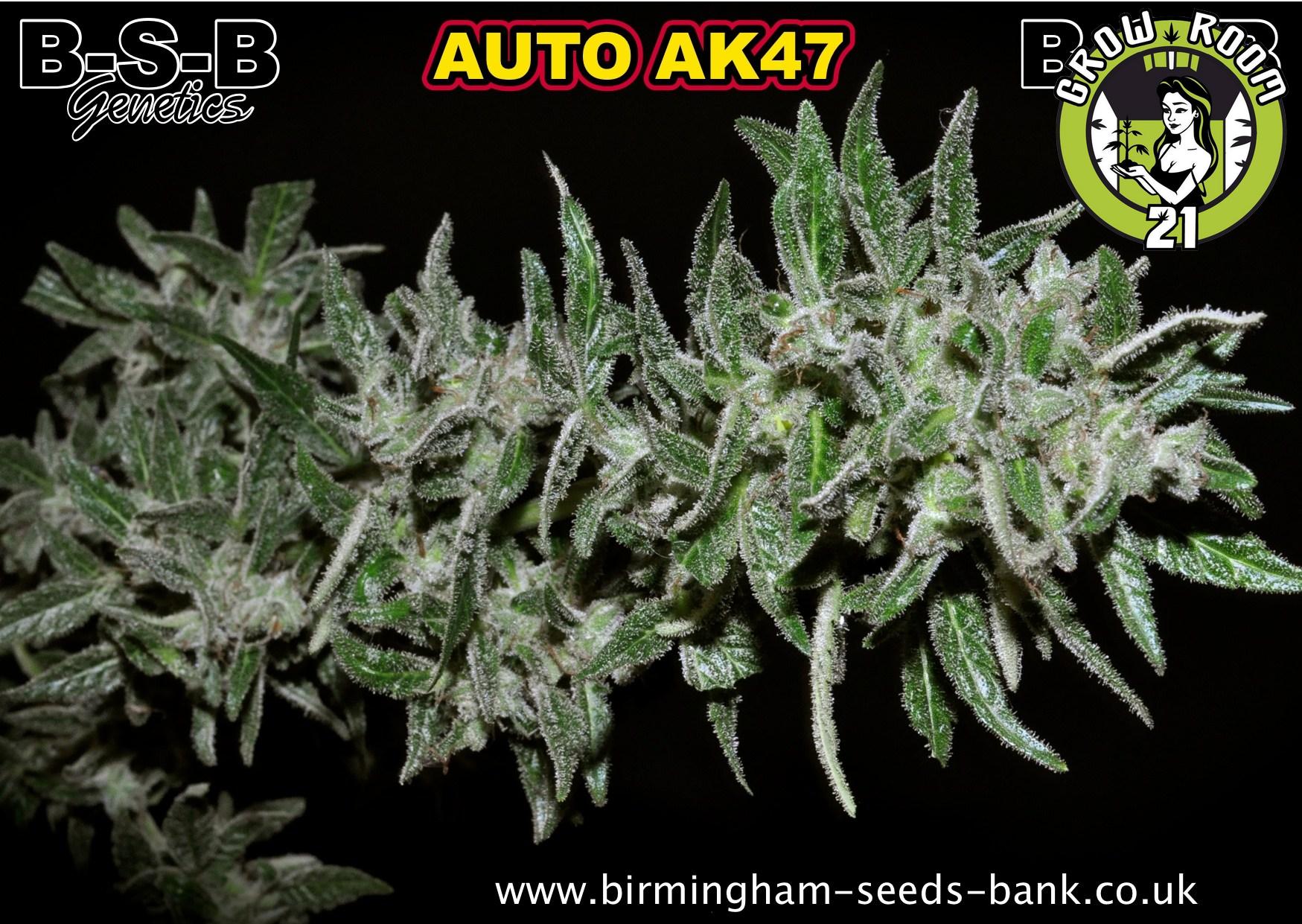 Bild von Auto AK-4T7