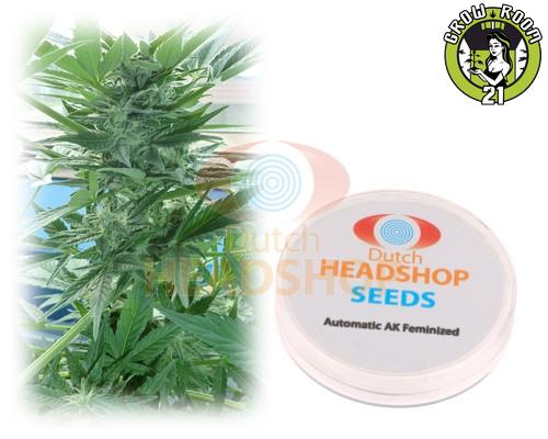 Bild von Automatic AK