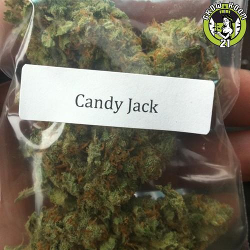 Bild von Candy Jack