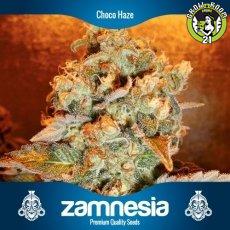 Bild von Choco Haze